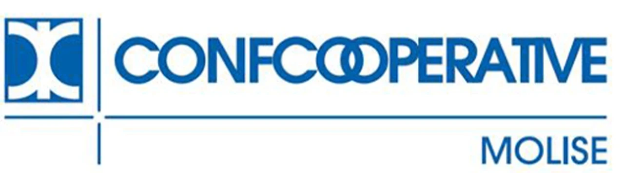 Banner Confcooperative Molise 636 per 177 pixel